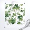 ivy leaves,botanical,english ivy,vines,greenery Custom Printed Fabric by Spoonflower Various Fabrics by the Yard or Fat Quarter